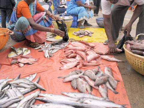 The fish market was abuzz with people